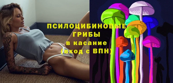 бутират Бородино