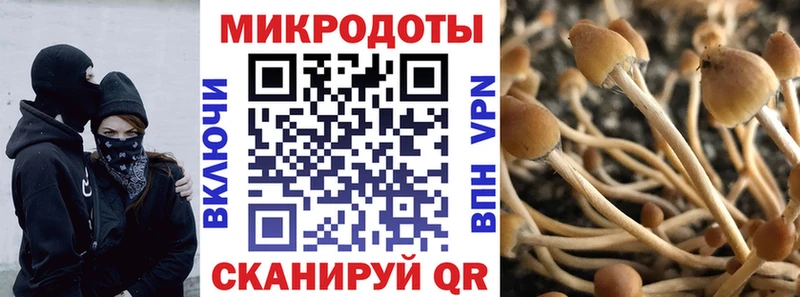 Галлюциногенные грибы Magic Shrooms  Сосногорск 